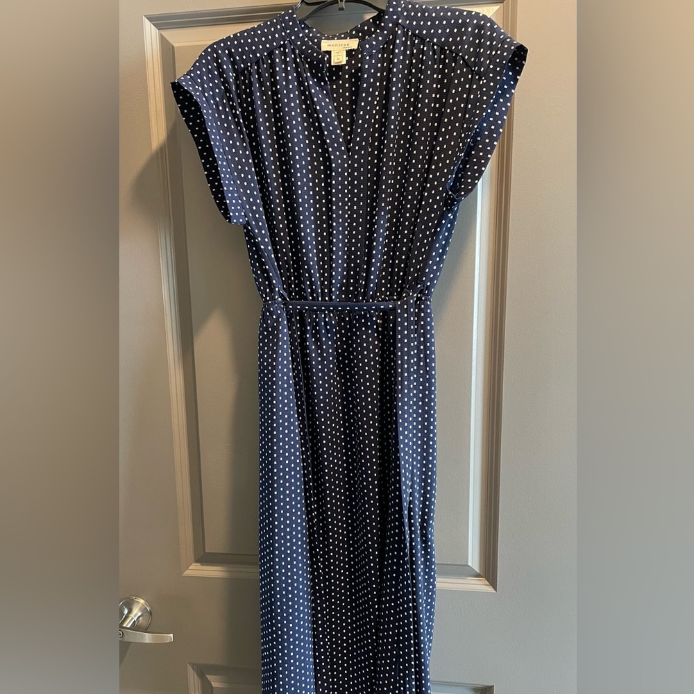 Monteau Blue and White Dotted Midi Dress